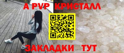 шишки Славгород